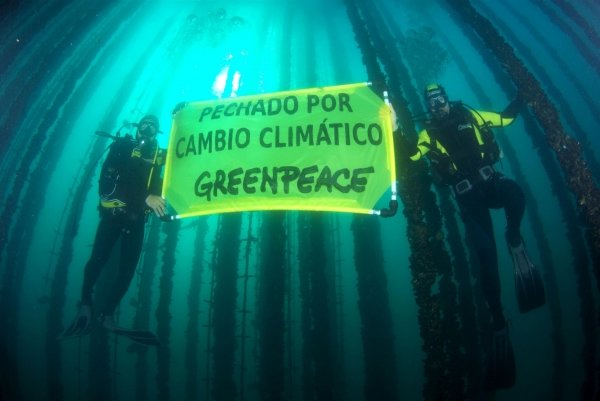 Dos miembro de Greenpeace portan una pancarta bajo el mar en la que puede leerse 'Pechado por cambio climático'. (Foto: EFE)