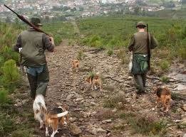 Caza con perros, una actividad que se da en zonas libres como el monte de Louredo, en Mos.