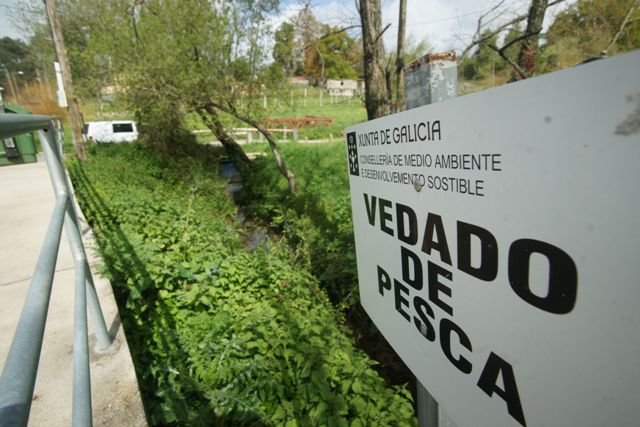 Un cartel señala la zona vedada a la pesca en el pequeño regato Barxa, que desemboca en el Lagares. 