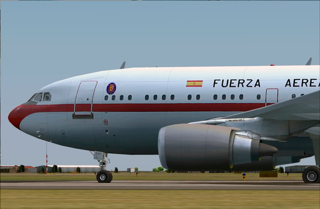 A310  de la Fuerza Aérea