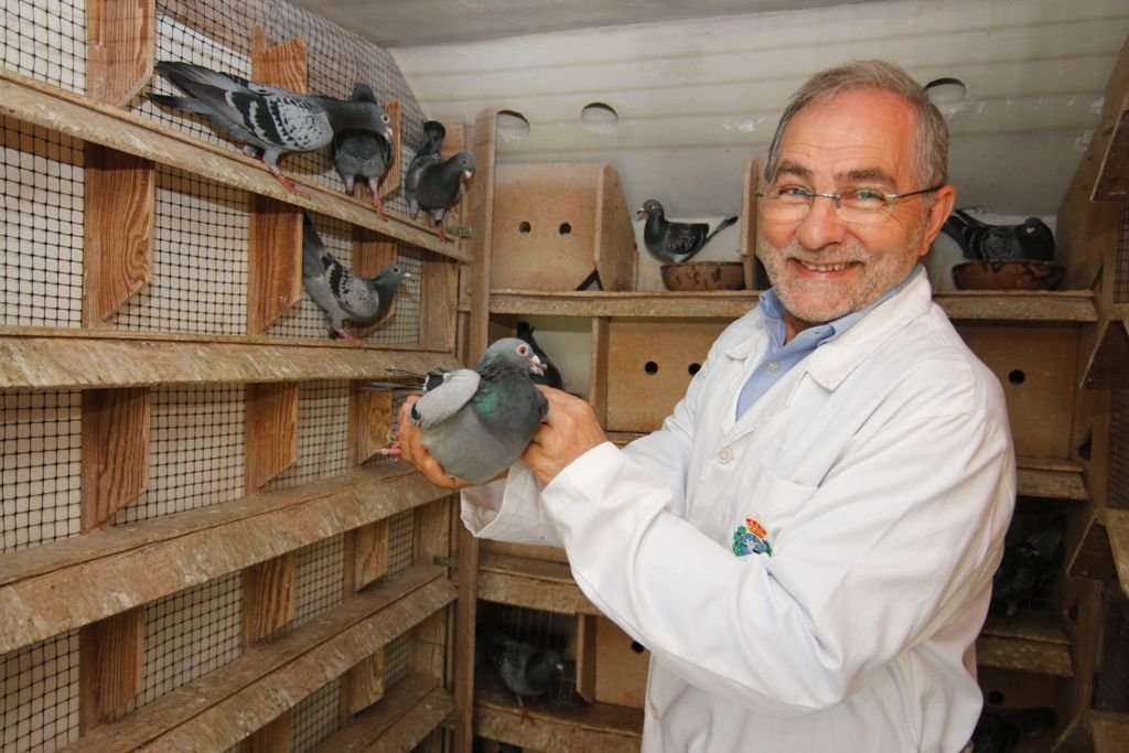 Eliseo Castro cuida sus palomas en un discreto palomar detrás de su vivienda, a escasos metros de Gran Vía.