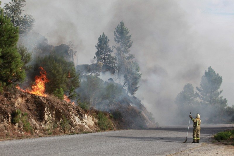 El fuego obligó a cortar la carretera entre Oímbra y Monterrei.