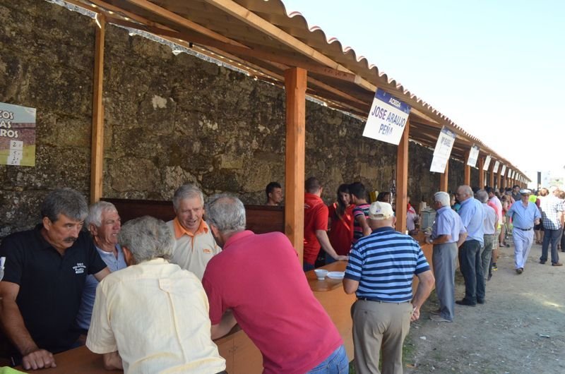 La degustación de los vinos de O Condado de veinte bodegas y la investidura de los cofrades en el Castelo de Dona Urraca protagonizaron la Festa do Viño en Salvaterra.