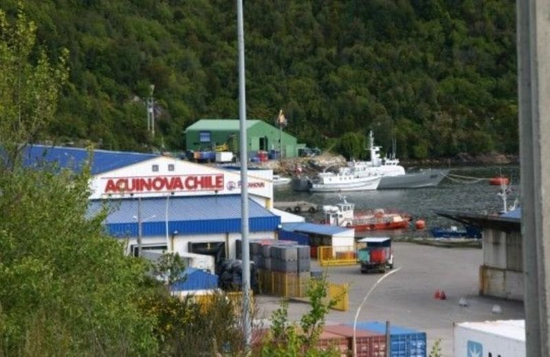 Pescanova ya había retirado los activos de Chile de su perímetro de consolidación.