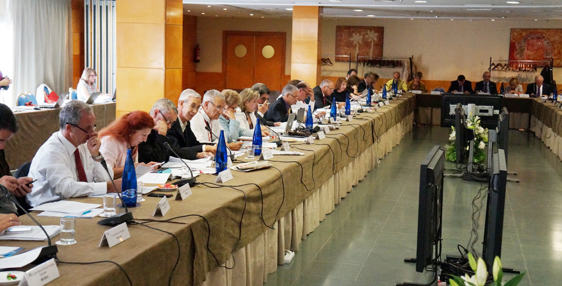 Un momento de la reunión del Consejo General de la Ciudadanía Española en el Exterior.