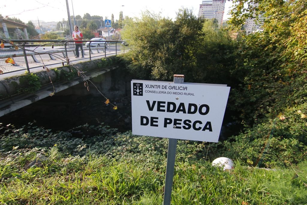 Una de las zonas marcadas por la Xunta con la prohibición de pescar, que se mantendrá durante al menos otro año, hasta la recuperación del río.