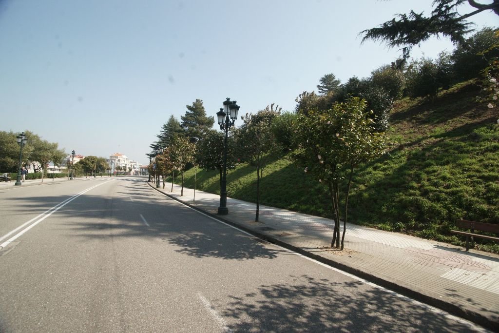 La Avenida de las Camelias tiene 402 árboles, seis más de los que cuenta Travesía de Vigo.