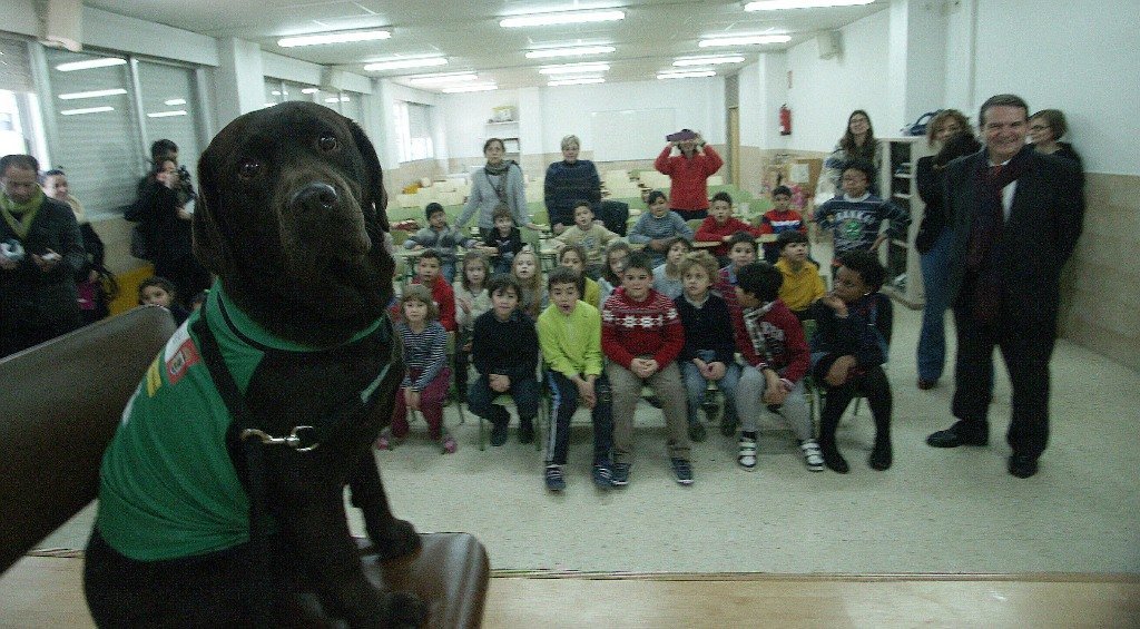 “Trufa”, en primer plano, uno de los perros del programa que ayer presentó el alcalde en A Doblada.