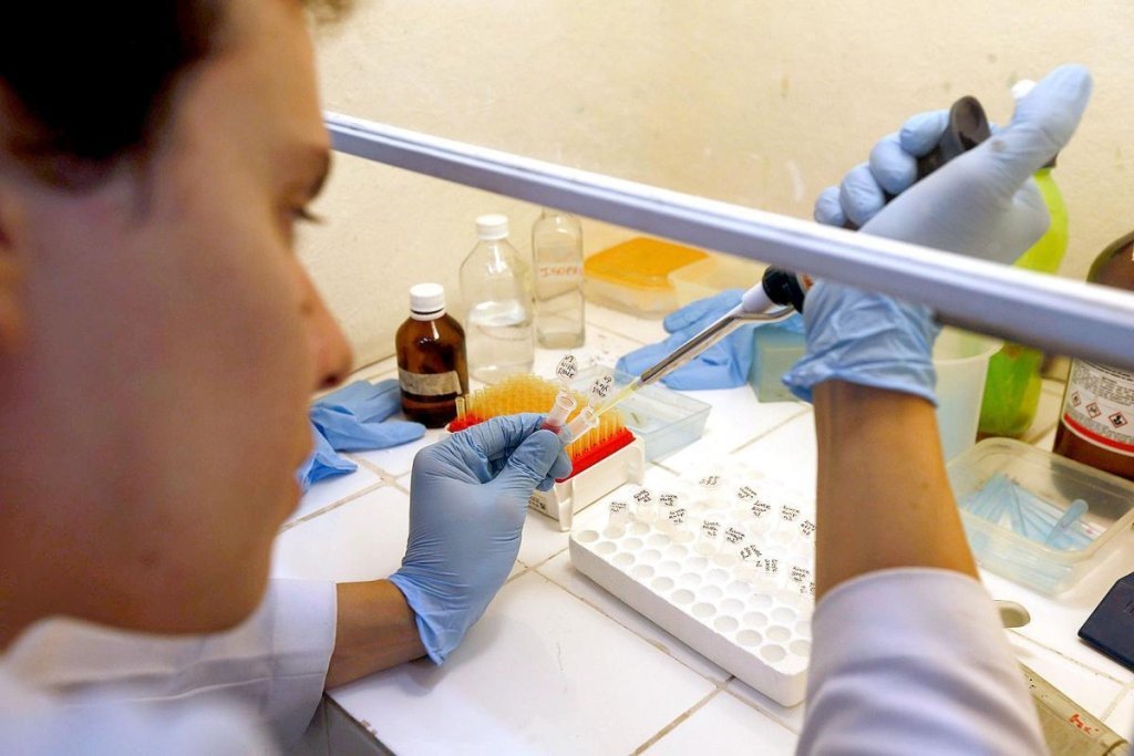 Un científico, durante su trabajo en un laboratorio, en busca de la vacuna contra el zika.