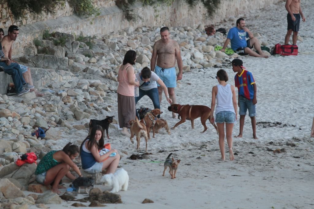 La playa de Toralla ya se había habilitado para el uso canino hace tres años.