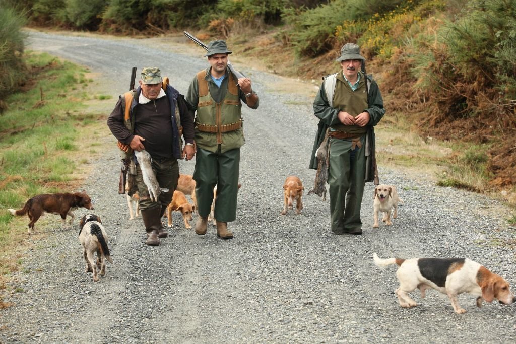 Tres cazadores caminan con sus perros y sus presas, ayer, en la provincia de Ourense.
