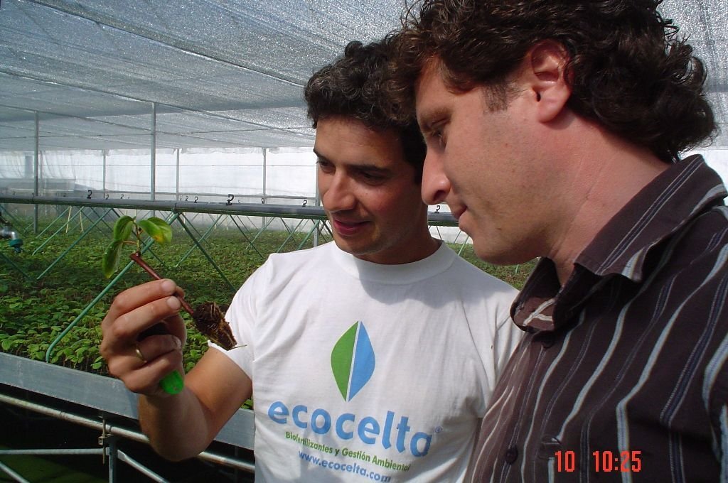 Sergio Quiroga, director gerente de Ecocelta, ante una de las plantas que realiza la función.