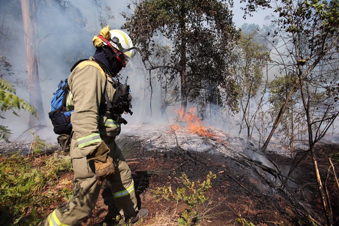 El 2 de agosto pasado, el fuego arrasó 2000 hectáreas en Arbo.