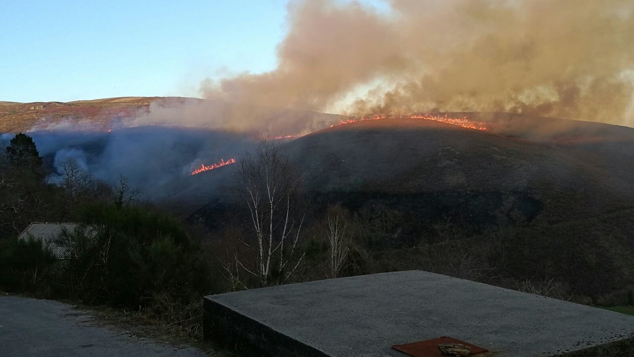 El incendio afectó ayer a monte raso y arbolado entre Queguas y Venceáns.