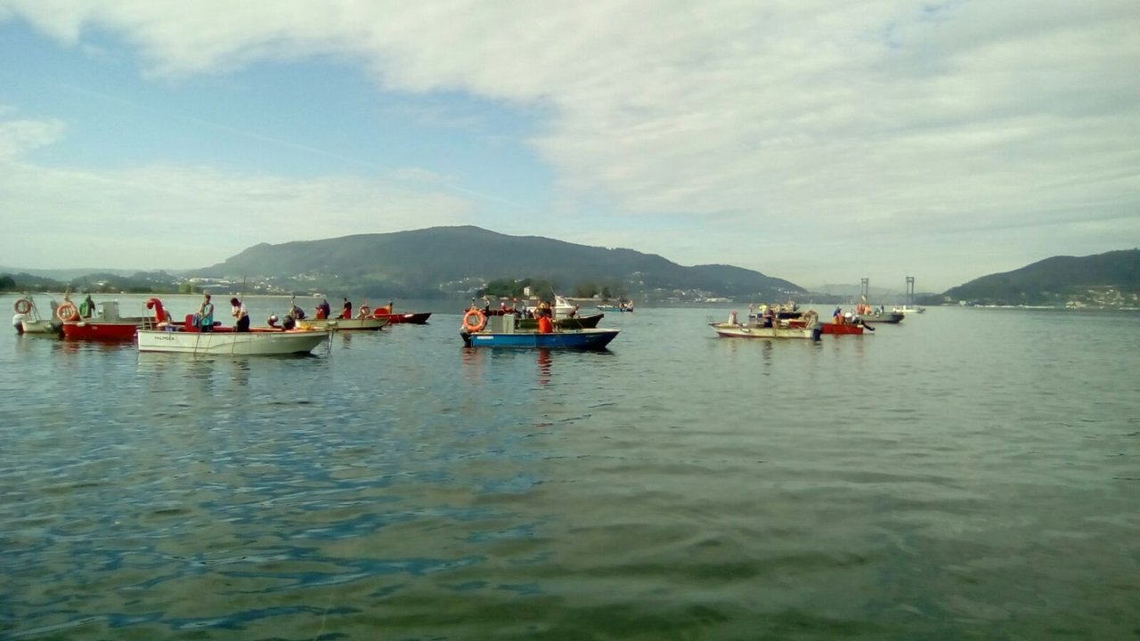 Un grupo de mariscadores a flote ayer durante las faenas de marisqueo en la zona de Arcade.