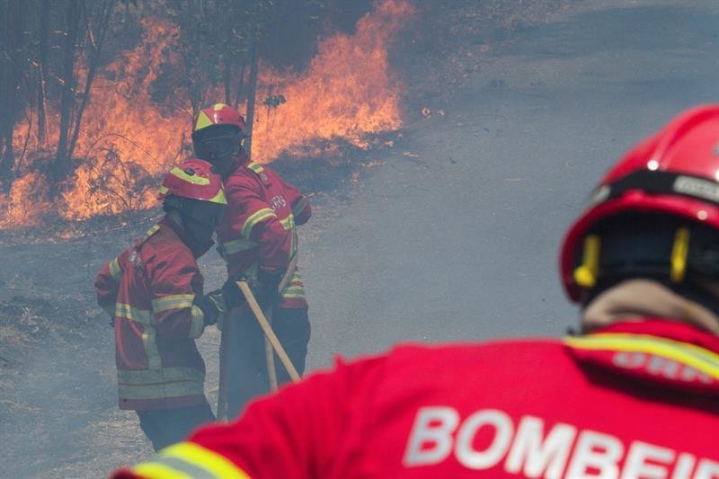 Los bomberos luchan contra un incendio forestal en el Figueiro dos Vinhos