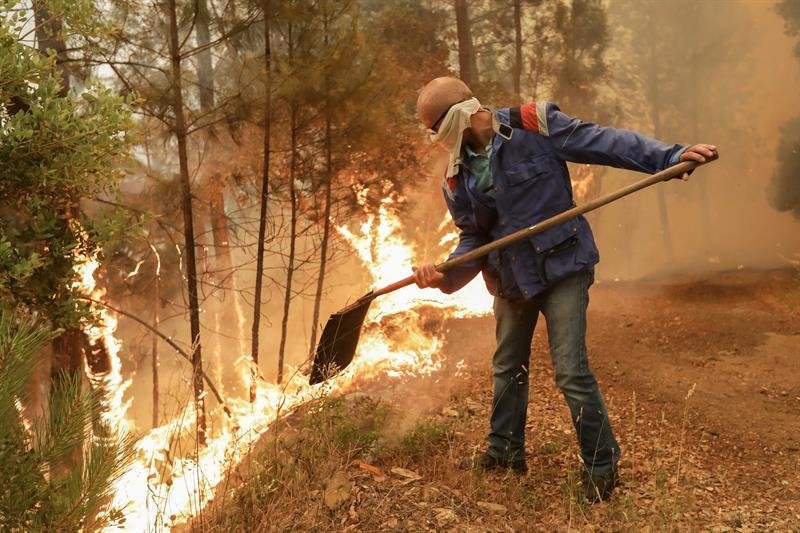 Un voluntario portugués combate el fuego en Sandinha (Portugal)