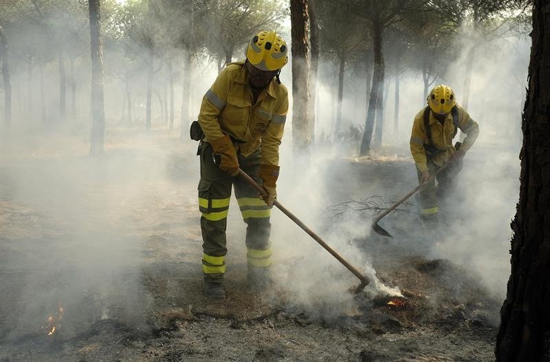 Bomberos trabajan en los alrededores de Mazagón, en Huelva, en el incendio declarado ayer en el término municipal de Moguer - copia