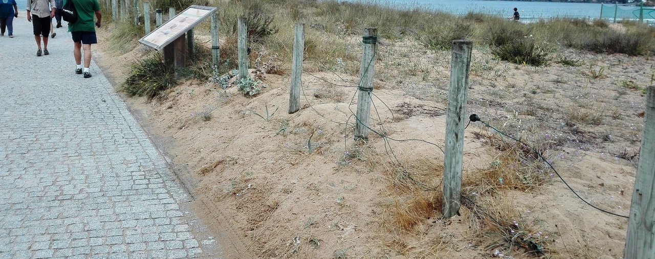 Varios postes del cierre perimetral de las dunas fueron arrancados y la alambrada está rota en parte del recorrido.