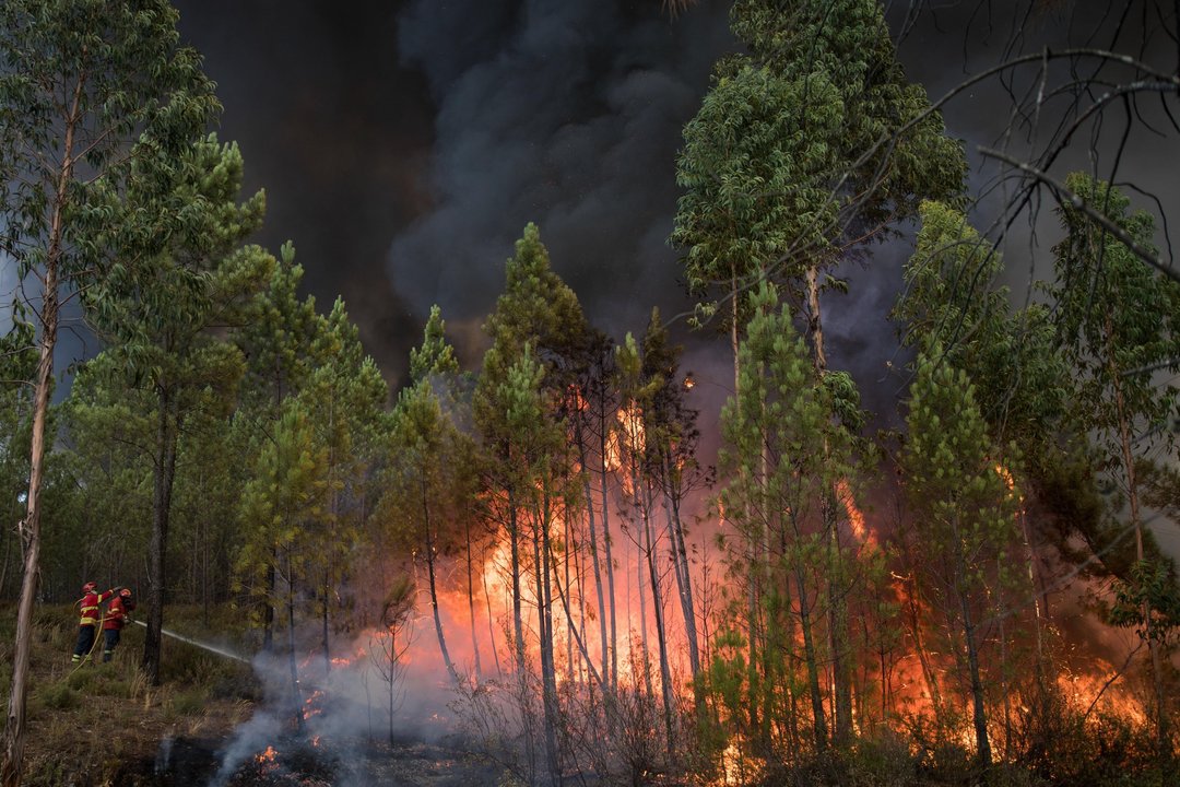 Dos bomberos intentan controlar el fuego en un monte repoblado con pinos y eucaliptos.