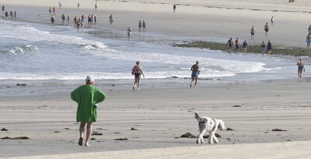 Las playas de la desembocadura ya estaban siendo utilizadas ayer por los perros.