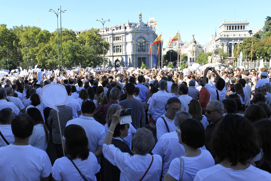 Los manifestantes a favor del diálogo en Madrid eligieron la plaza de Cibeles.