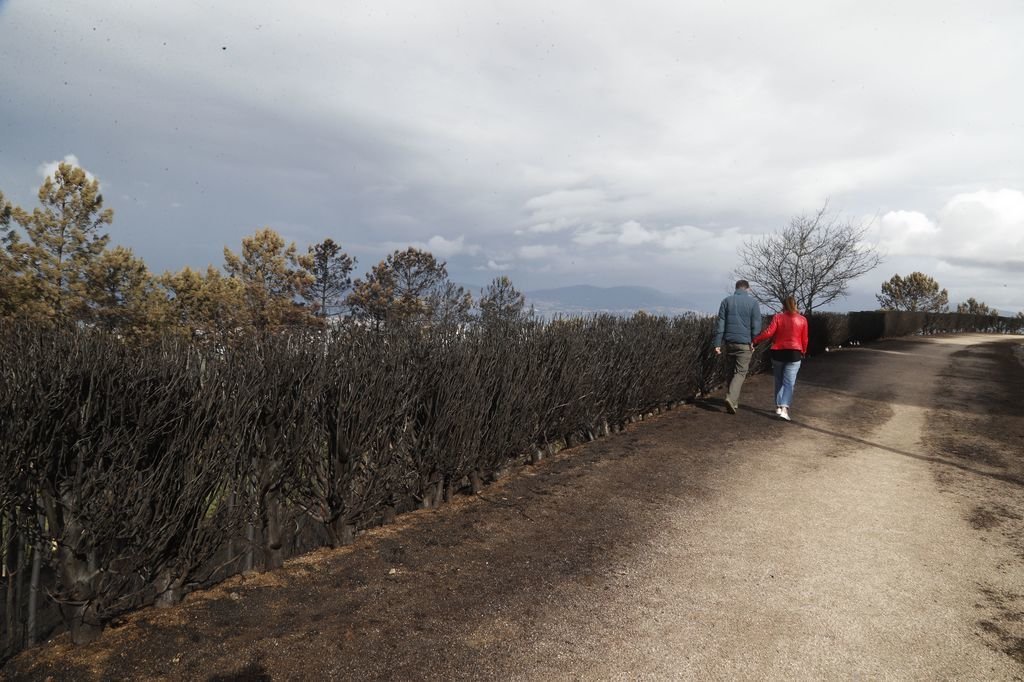 La comunidad de montes de Valladares, que gestiona 300 hectáreas de superficie en esta parroquia, vio como el fuego devoraba años de trabajos.