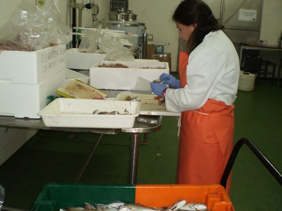 Proceso de elaboración del mince en las instalaciones de Opromar.