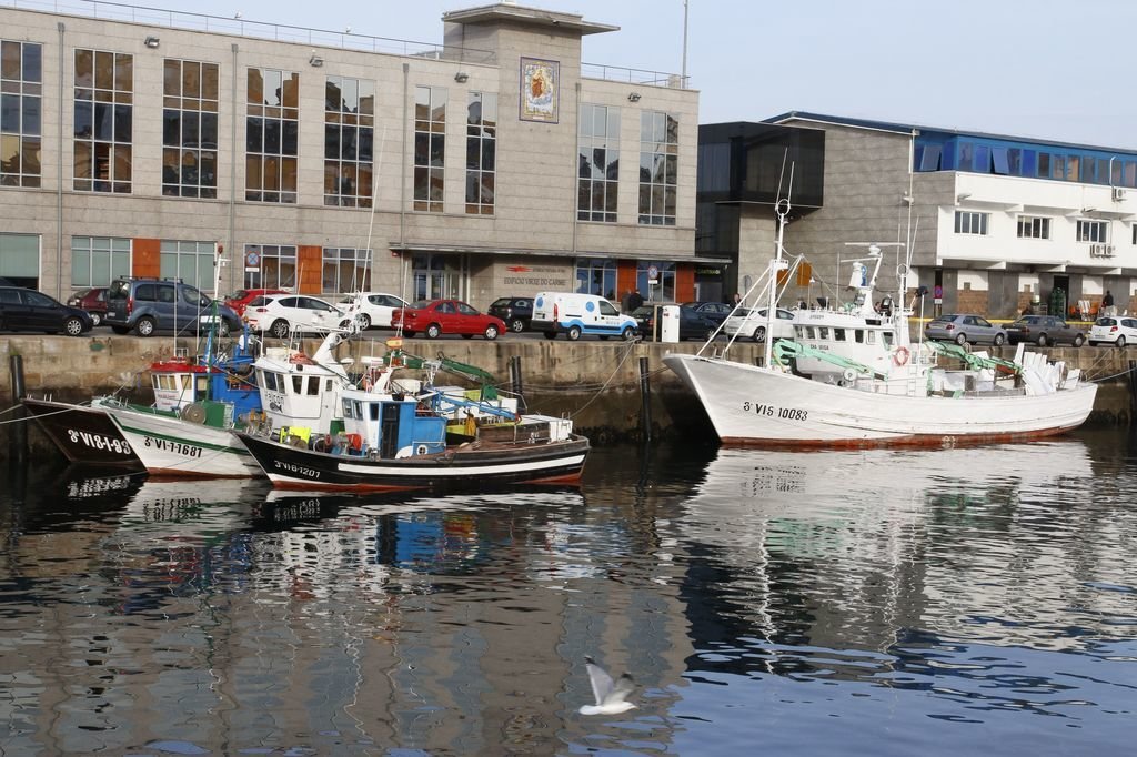 Casi un millar de marineros dependen directamente de la pesca de la sardina en Vigo.