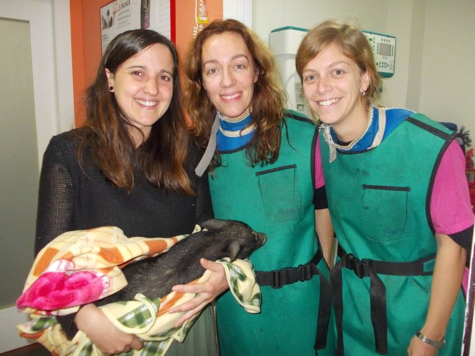 Patricia, con “Montgó”, junto a las veterinarias del centro vigués, donde fue operada.