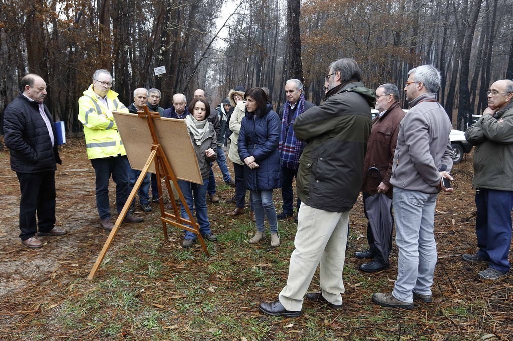 Los comuneros, en Xinzo, explicando a la conselleira su propuesta del plan de restauración forestal.