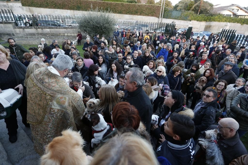 El párroco de La Soledad, Alberto Cuevas, bendijó a más un centenar de mascotas, llevadas por sus dueños.