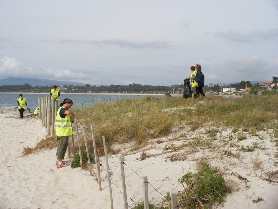 Los voluntarios, durante una jornada de mantenimiento que se hacen regularmente en las dunas de Fontaíña.