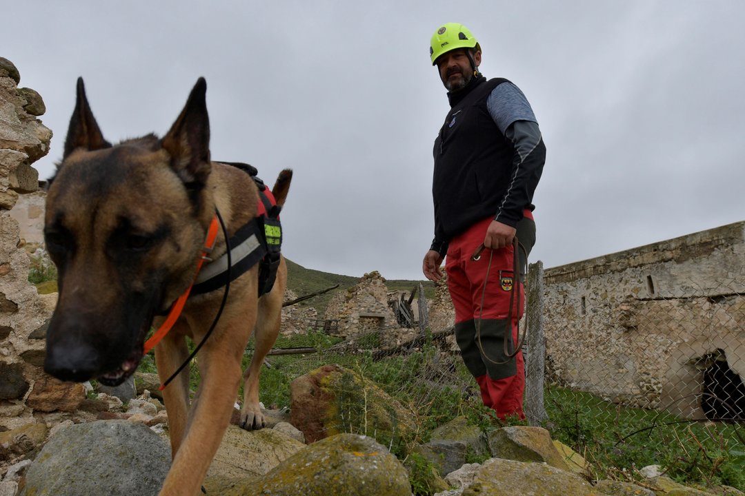Perros adiestrados participaron en la búsqueda del menor desaparecido en Níjar (Almería).