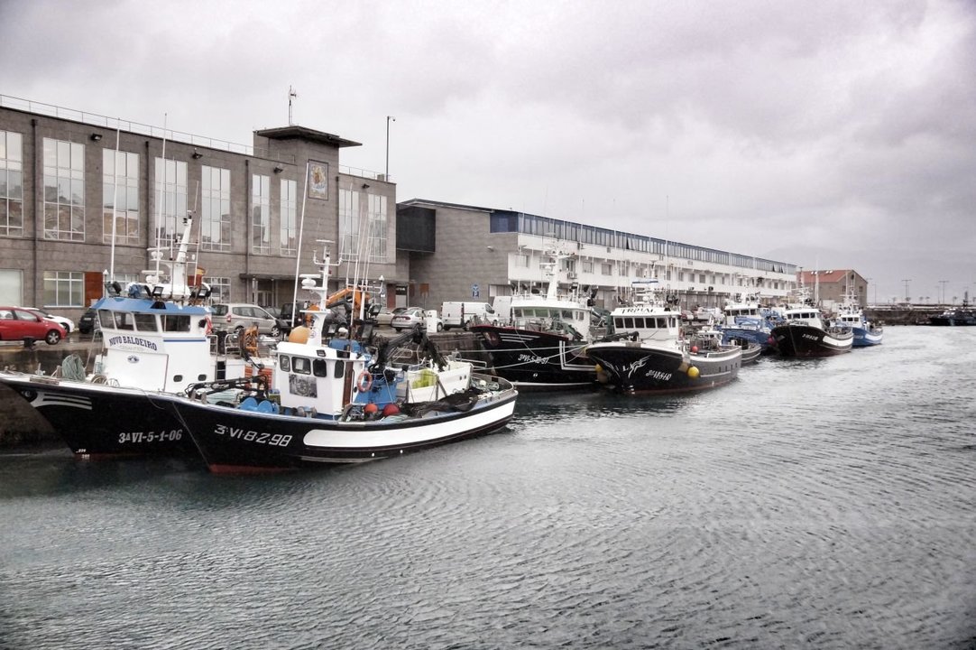 La flota permance amarrada en el puerto de Vigo // Vicente Alonso