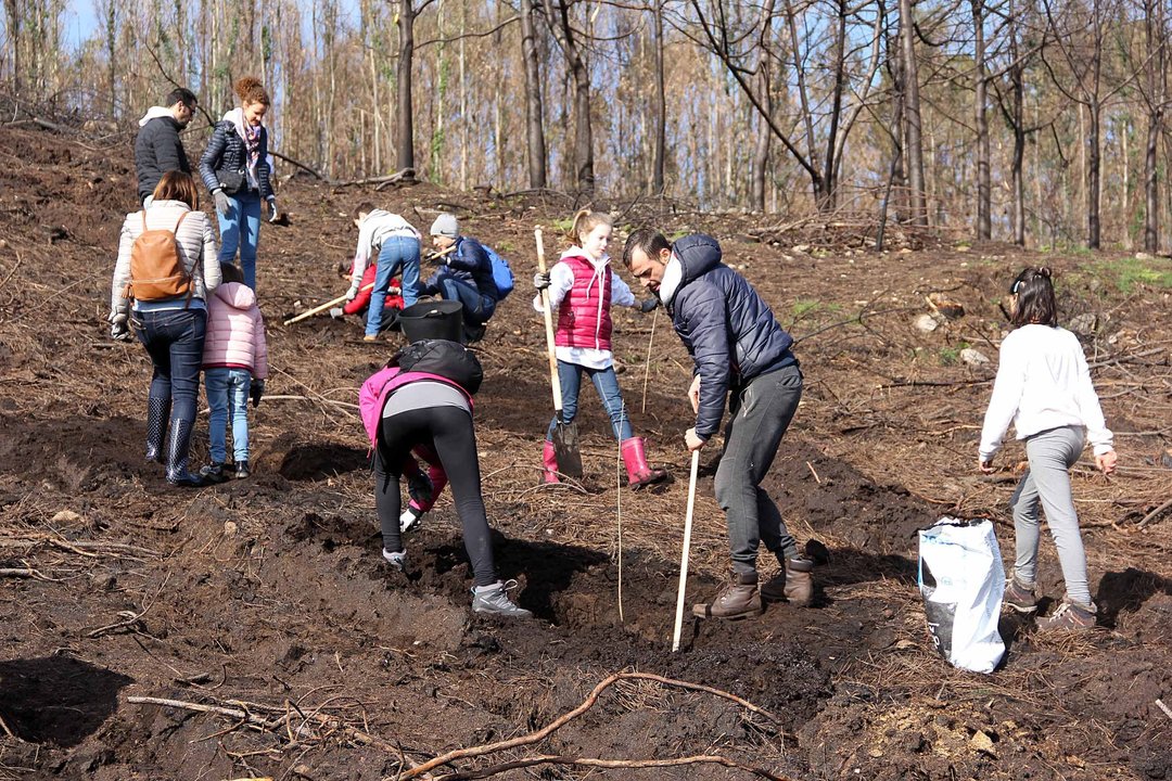 Los montes de Coruxo recibieron ayer a voluntarios para plantar árboles.