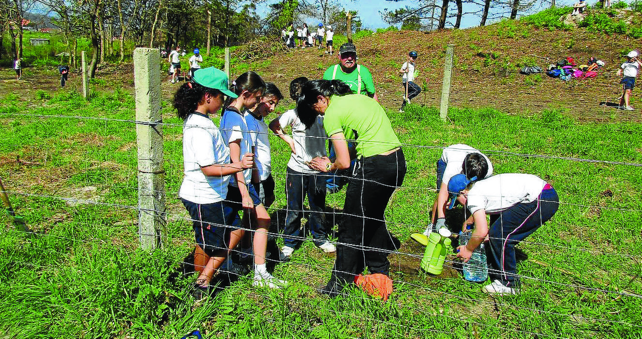 Estudiantes del Mariano plantan en el monte de Freixo