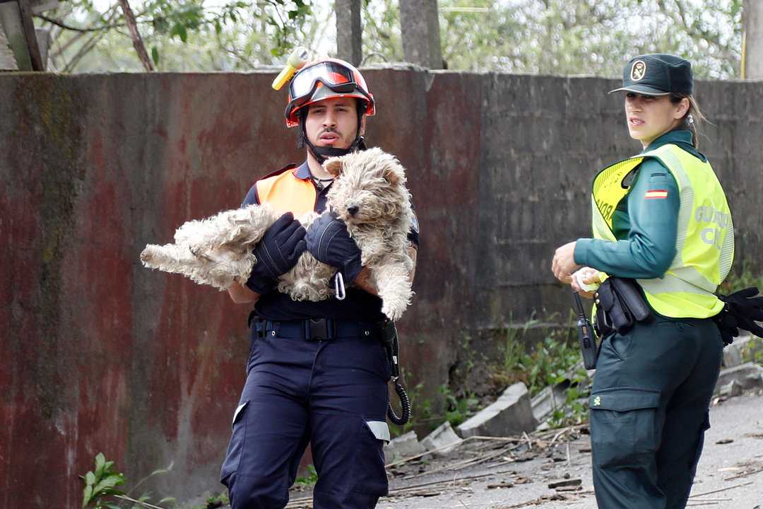 Un miembro de Protección Civil traslada al perro poco después de ser rescatado.