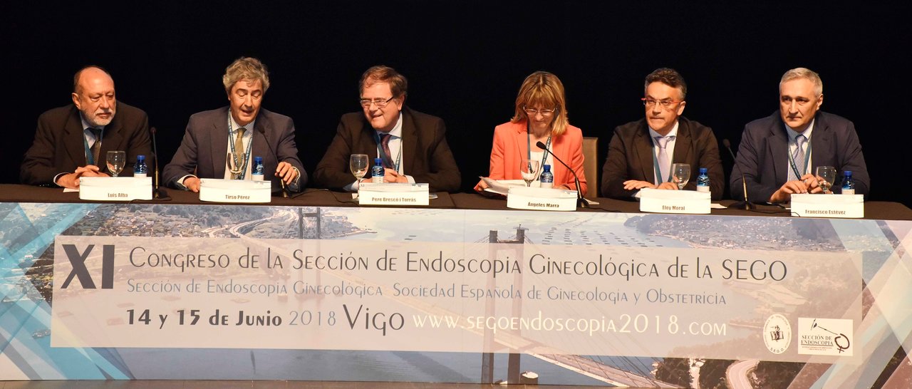 600 ginecólogos de toda España debaten en Vigo