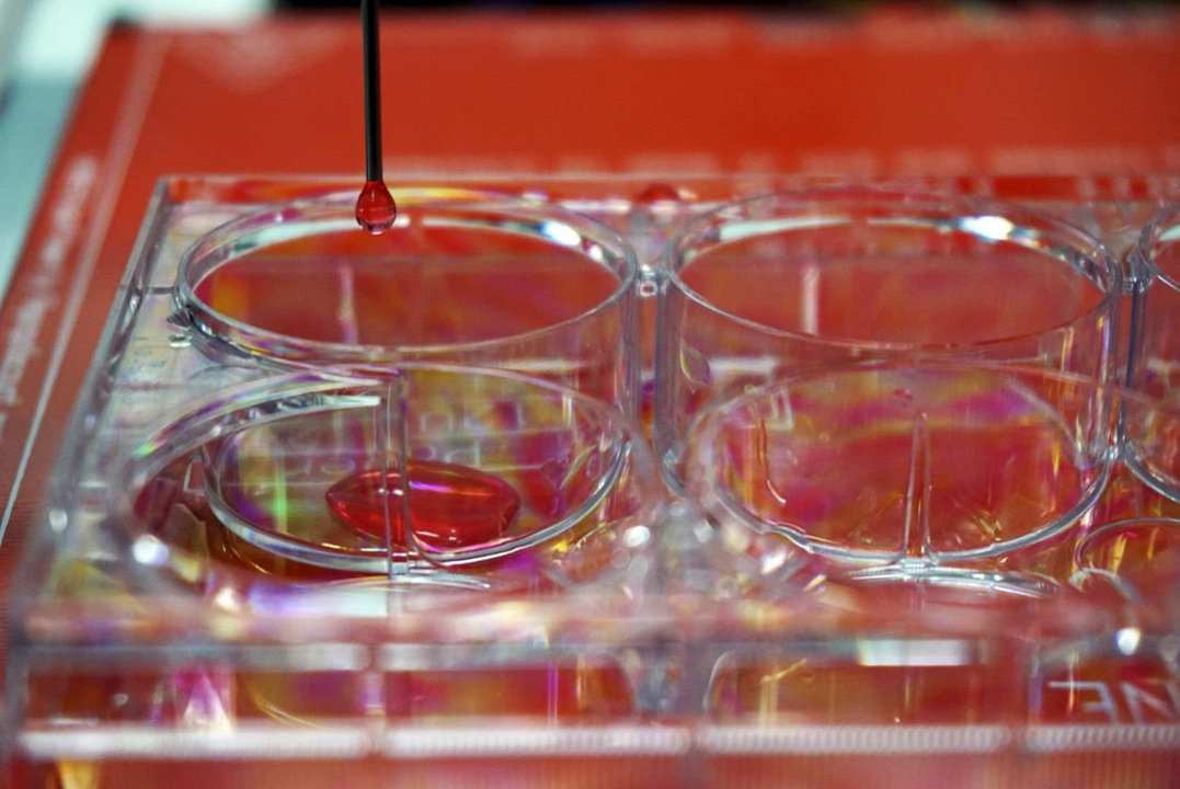 Bioimpresora 3D creada por la Universidad Carlos III de Madrid (UC3M),