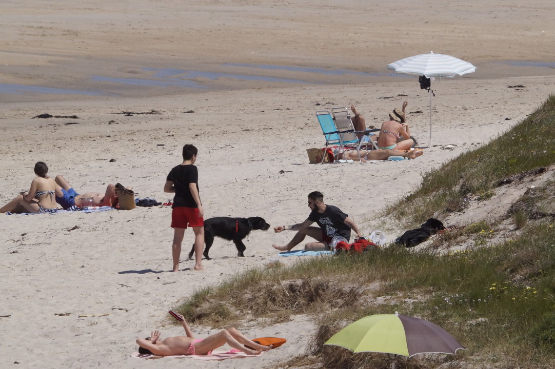 Las playas de Foz y A Calzoa, en Vigo, permiten desde este año la entrada de perros