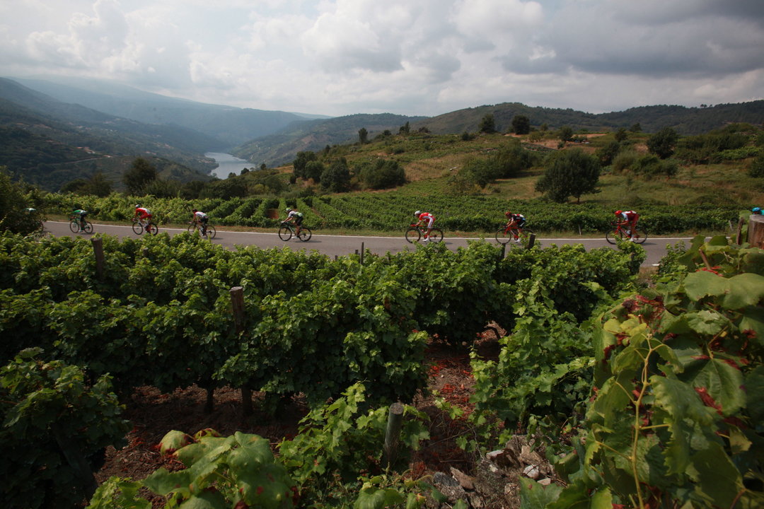La Ribeira Sacra, con su paisaje plagado de viñedos, estuvo presente en la etapa de ayer de La Vuelta.
