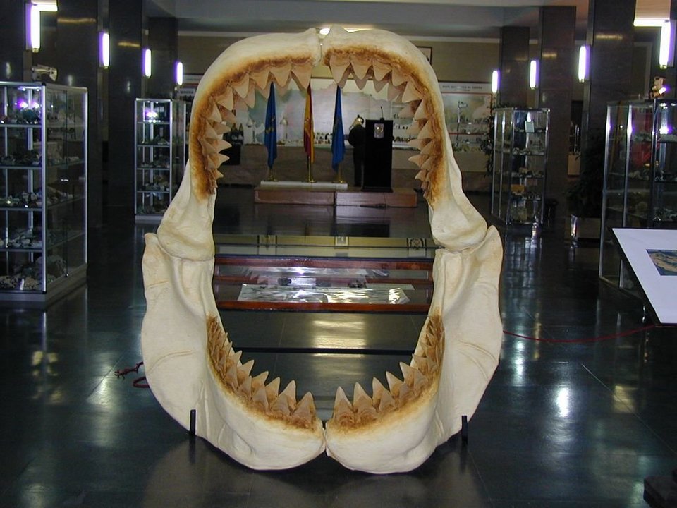 Minervigo abre sus puertas con una gran mandíbula de tiburón