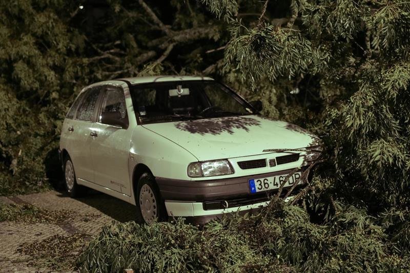 Un automóvil dañado por un árbol caído después del paso de Leslie en Coimbra, Portugal