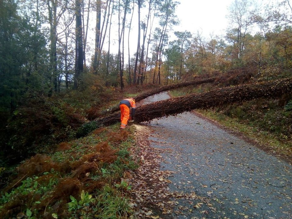 La mayor parte de incidencias fue la caída de árboles vencidos por las fuertes ráfagas de viento.