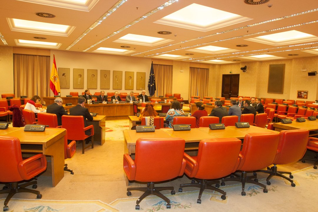 La subcomisión que tramita la reforma de la Ley Electoral recibió a los miembros del Consejo de la Emigración.
