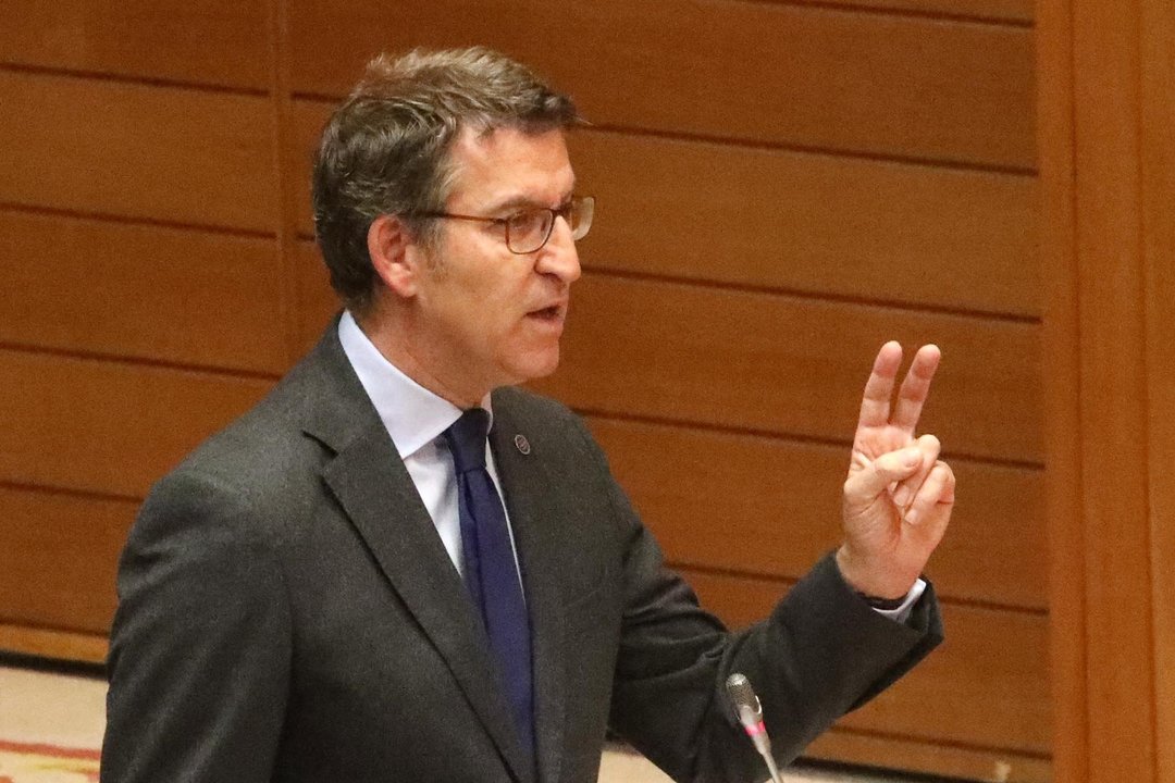 Alberto Núñez Feijóo, ayer durante su intervención en el pleno de la Cámara autonómica.