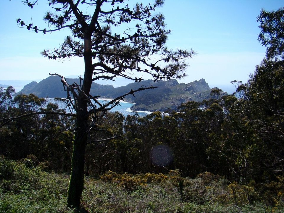 Vista de la isla Sur o San Martiño, tomada desde la isla de Faro o do Medio, la única que no se puede visitar en transporte regular.