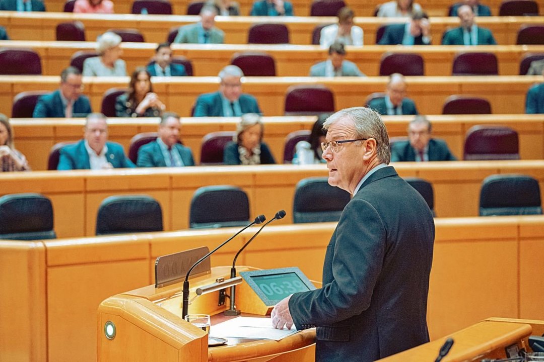 El senador popular Antonio Silván, durante la sesión plenaria sobre la amnistía.