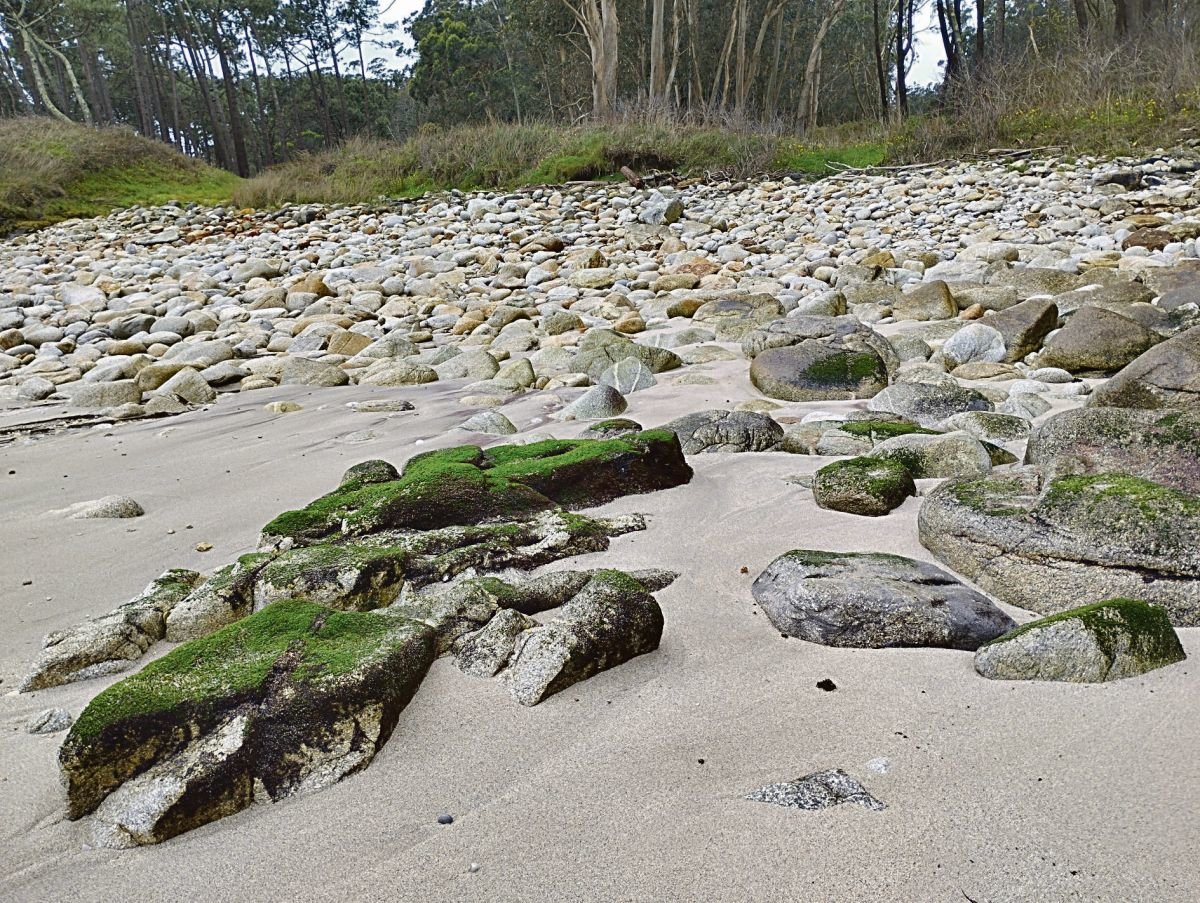 Otra consecuencia del “Prestige”: la arena desapareció al ser levantada para su limpieza y la playa Cantareira ha quedado cubierta de piedras.
